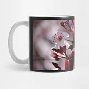 Japanese Cherry Tree (#2) Mug